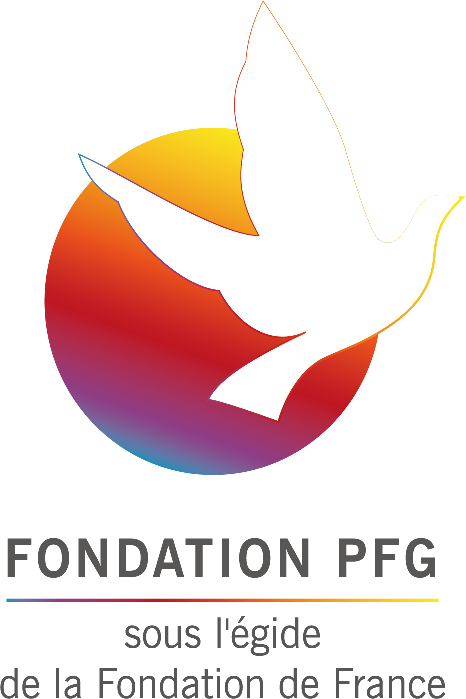 Logo Fondation PFG
